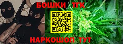 индика Усть-Джегута
