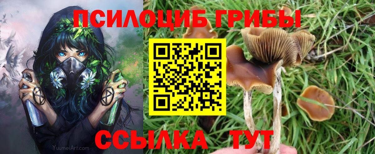 Псилоцибиновые грибы Magic Shrooms  Вход с VPN  Саратов 