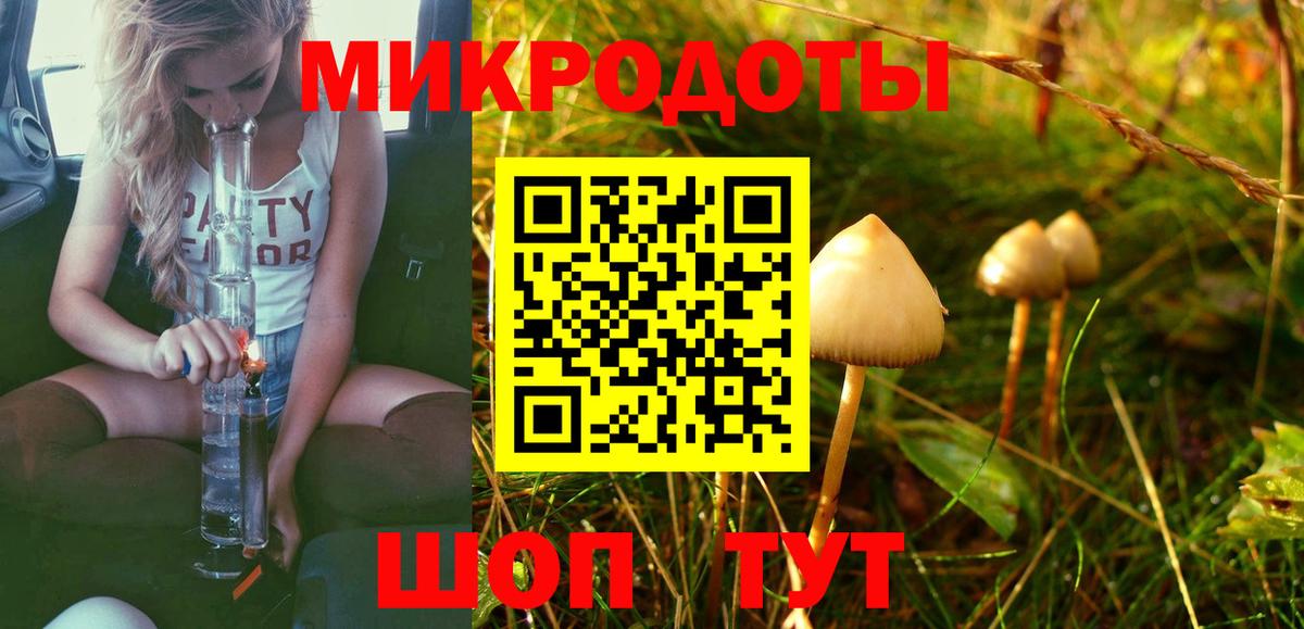 Галлюциногенные грибы Psilocybe Саратов